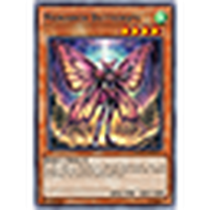 YuGiOh! - Monarch Butterspy