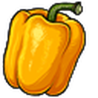 Yellow Bell Pepper