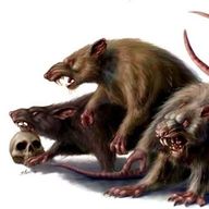 Rats