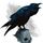 Raven
