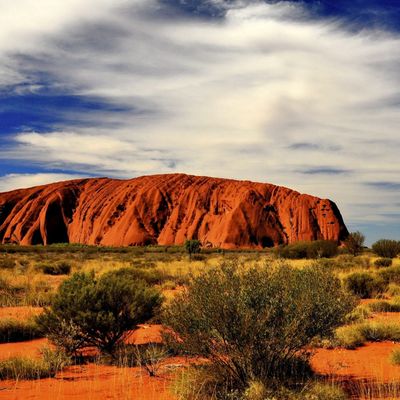 Tjinderi header image