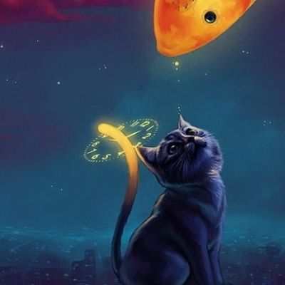 Mr Kilipika header image