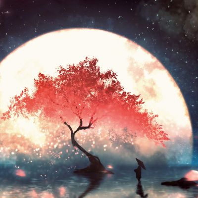 Rite de ravitaillement header image