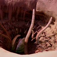 Sarlacc