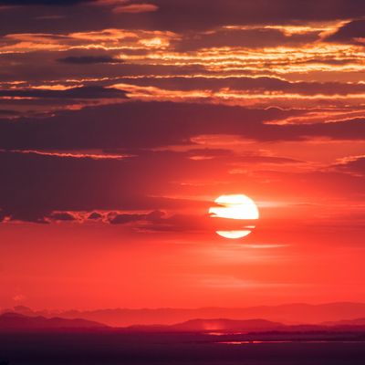 Kassandra "Falka" Kyros header image