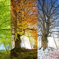 17: The Sepulchre of Ardea