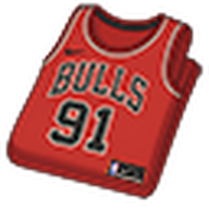 Dennis Rodman Bulls Jersey