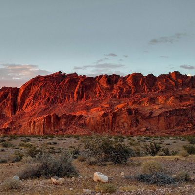 Meute de la Roche Noire header image