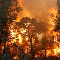 Слово экспертам