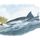 Giant Shark