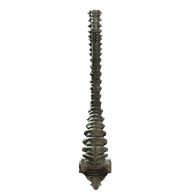 Spine