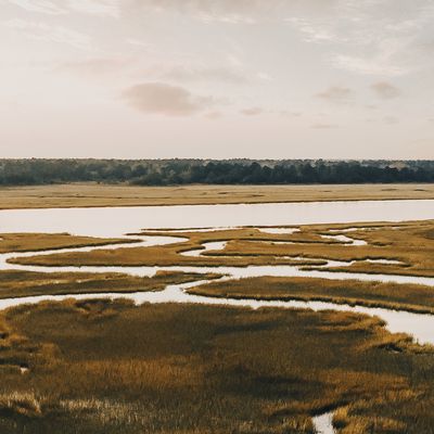 Lagatpulgoruz header image