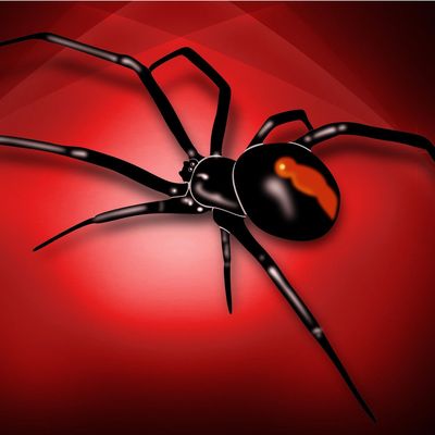 Funérailles de Geri header image