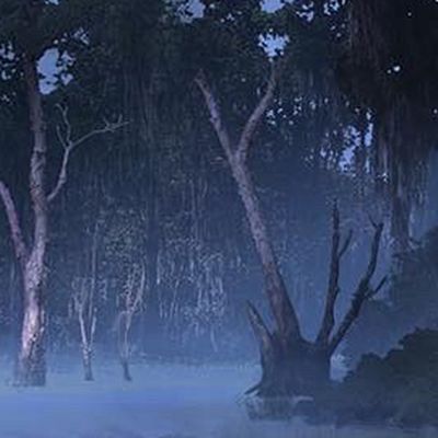 Swamps of Crinia header image