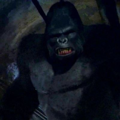 Alexeï Mittani header image