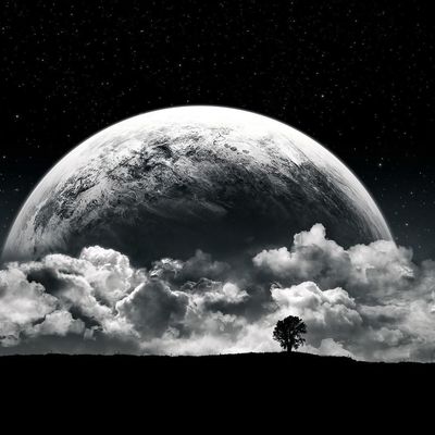 Deacon Rodriguez header image