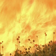 Aftermath, Before History