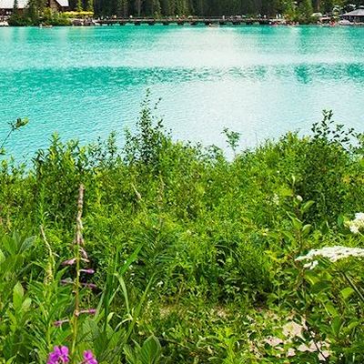 Bassin d'Emeraude header image