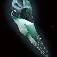 Primordial Shard of Water