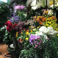 Dazzling Arrangements