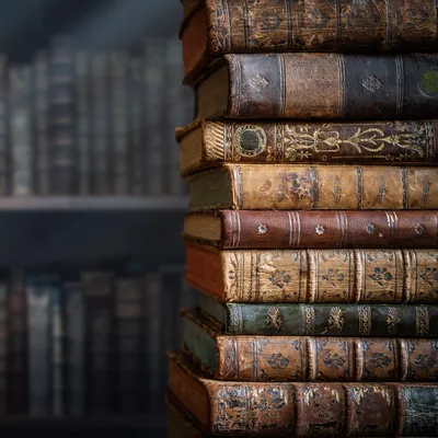 Non-Playable Races header image