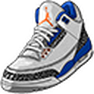 Air Jordan 3 Wizards