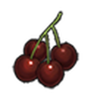 Cherries