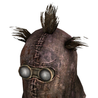 Raiders Wastehound Helmet