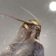 Falco Grigio di Falcadia