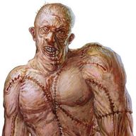 Flesh Golem