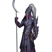 Rippa - Characters - Kanka