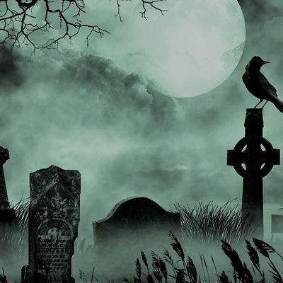 Rejeton de Dame Gree header image