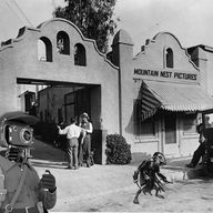 Mountain Nest Pictures