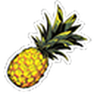 Pineapple Sticker
