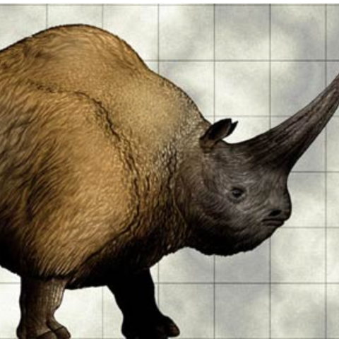 Giant Wooly Rhino