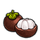 Mangosteen