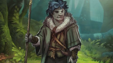 Soki Rodzaj Asili Tekoha