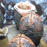 Disrupting the Hatchery