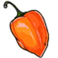 Habanero Pepper