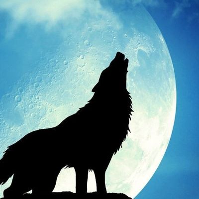 Terminée - Présentation de la meute au 1er conclave du Sept header image