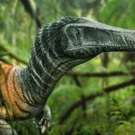 Austroraptor