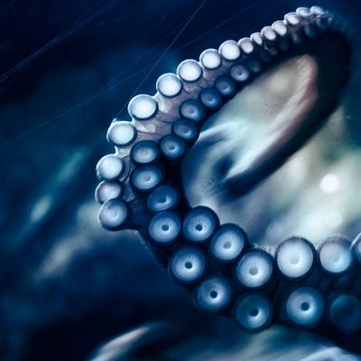 Chulorviah header image