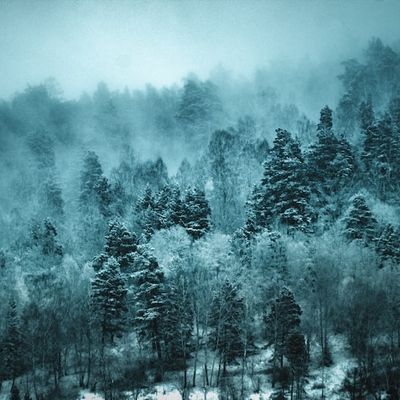 Irina Sokolova header image