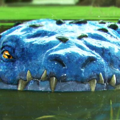 Anurana header image