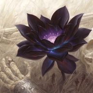 Black Lotus
