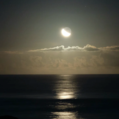 Nova Amaril header image