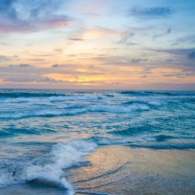 Danielle E. Haulsee header image