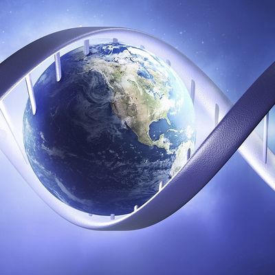 Ocean Cross header image