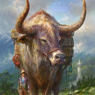 Longhorn Cow