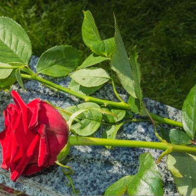 Becky Fitzgerald header image